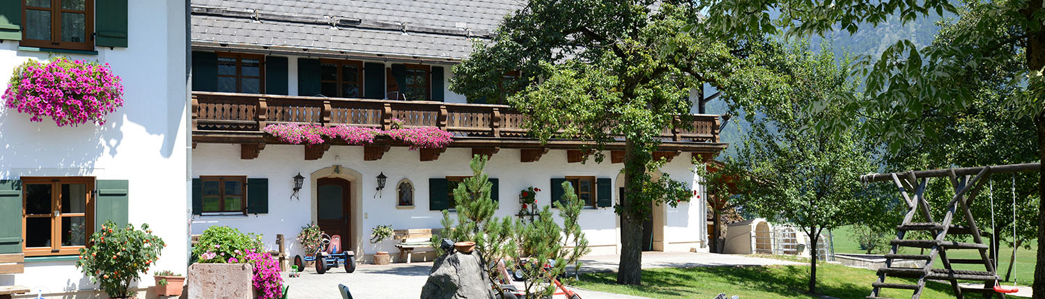 Urlaub mit Hund am Wolfgangsee